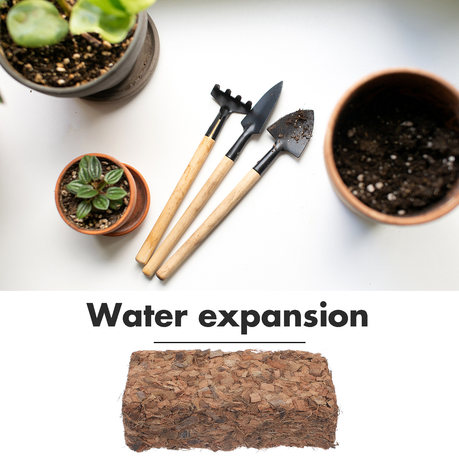 Sphagnum Coconut Shell Fertili - огляд і ціна Sphagnum Moss Dry