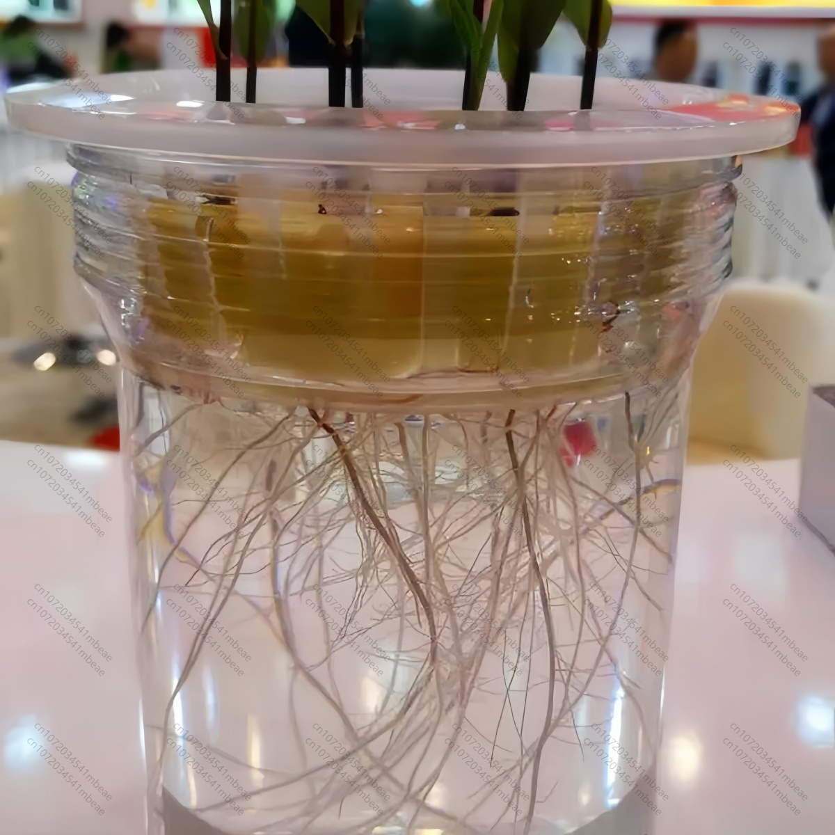 NAA 98% TC 1-Naphthaleneacetic - огляд і ціна Rooting Hormone Powder