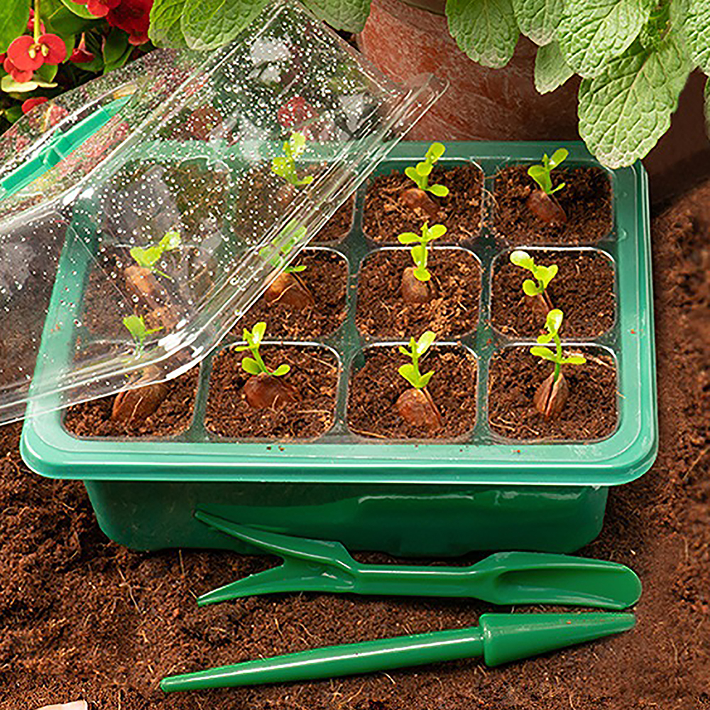 Seed Starter Trays with Grow L - огляд і ціна Humidity Dome Kit