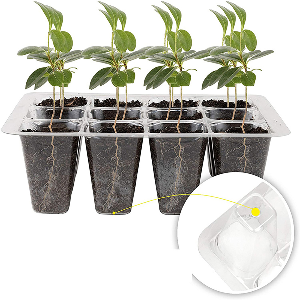 Seed Starter Trays with Grow L - огляд і ціна Humidity Dome Kit