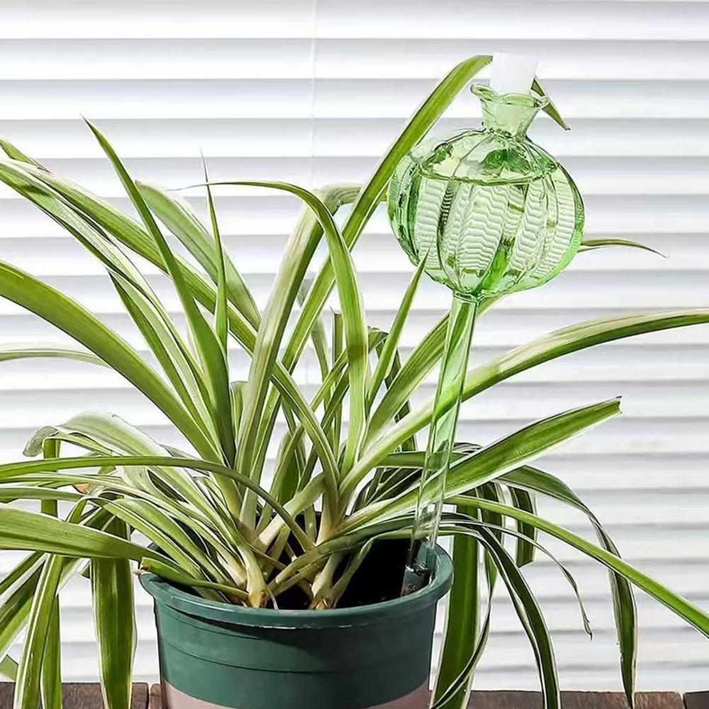 24cm Cactus Self Watering Bulb - огляд і ціна Self Watering Insert
