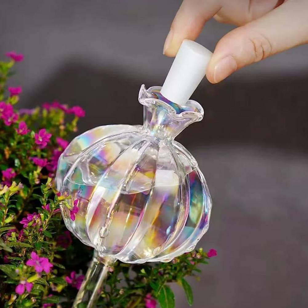 24cm Cactus Self Watering Bulb - огляд і ціна Self Watering Insert