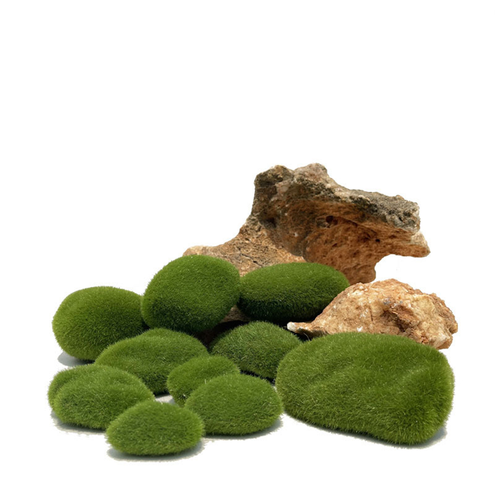 Artificial Fake Moss Rock Eter - огляд і ціна Sphagnum Moss Dry