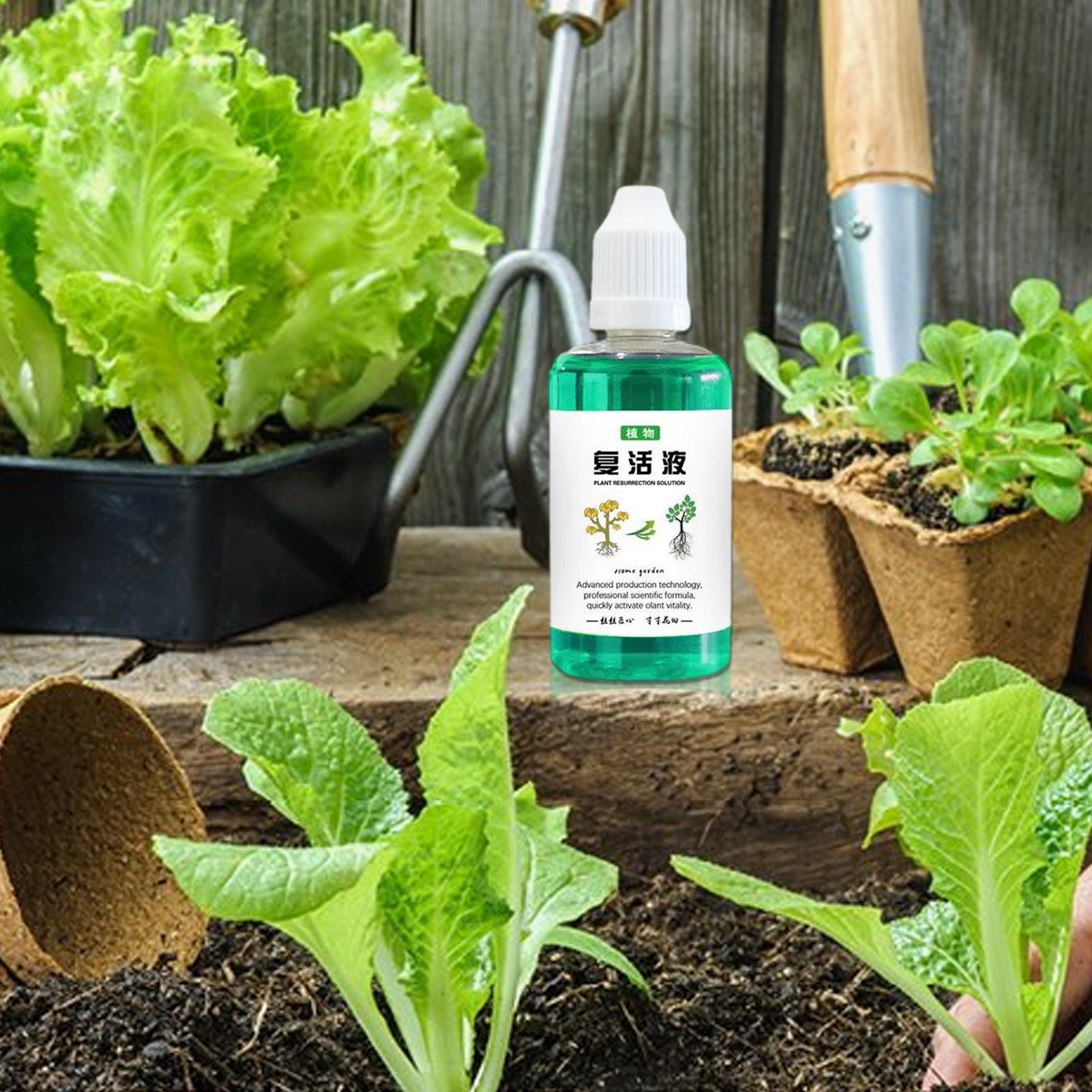 Root Stimulator For Plants 50m - огляд і ціна Root Stimulator Liquid
