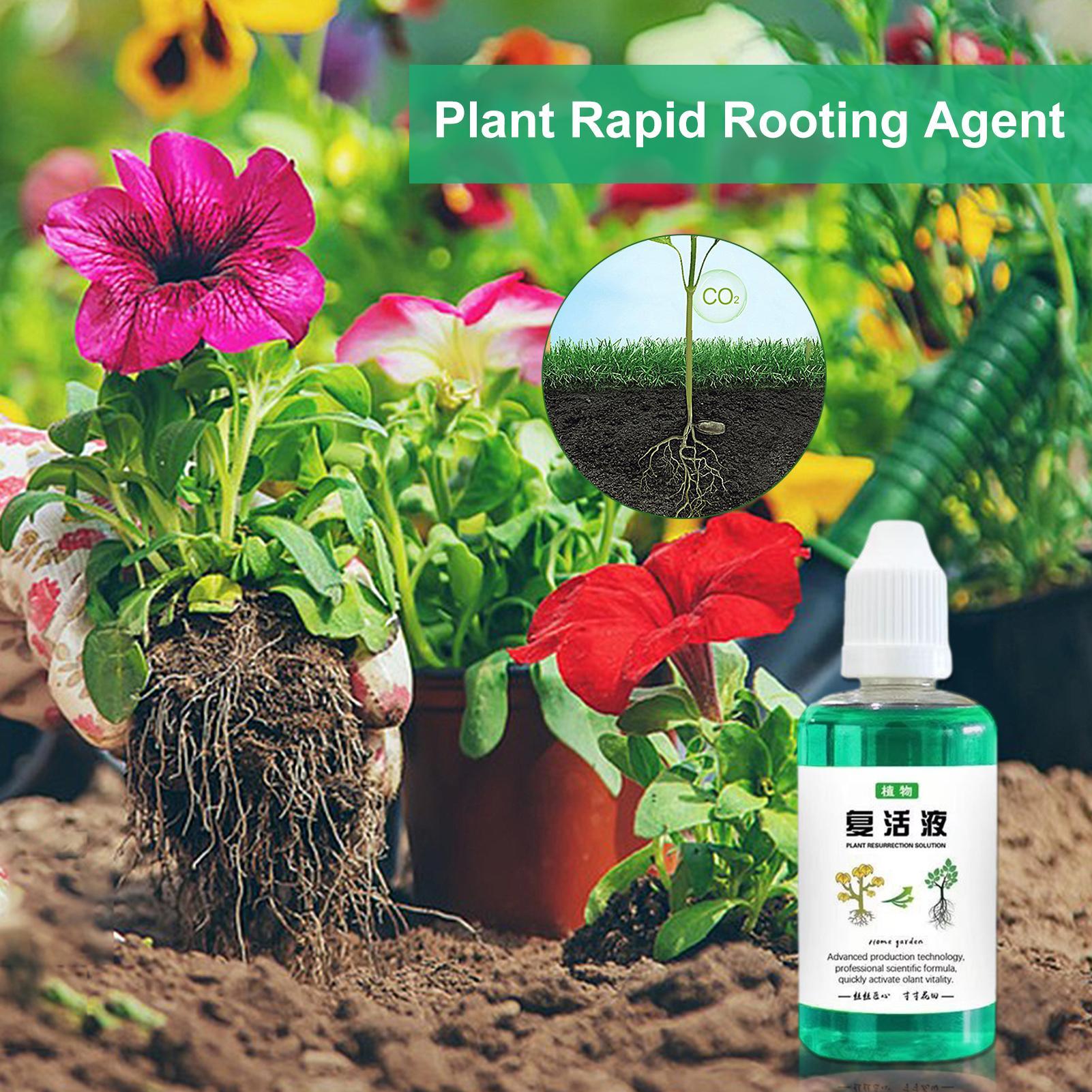 Root Stimulator For Plants 50m - огляд і ціна Root Stimulator Liquid