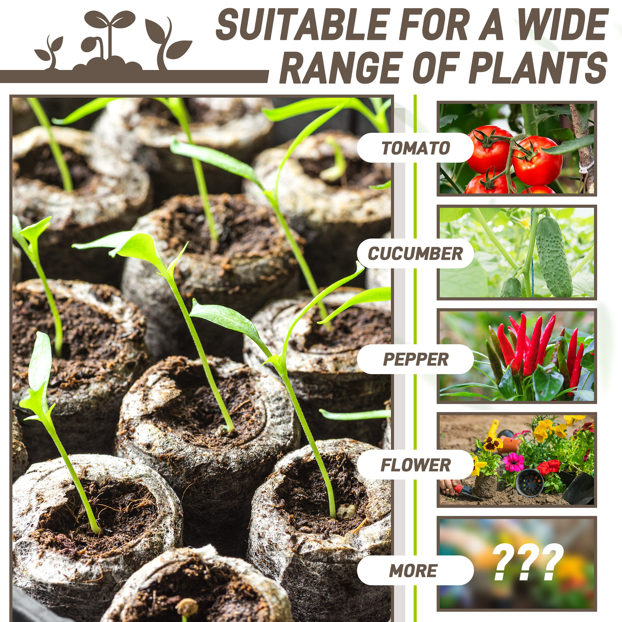 50pcs 35mm Compressed Peat Pel - огляд і ціна Peat Pellet Tray