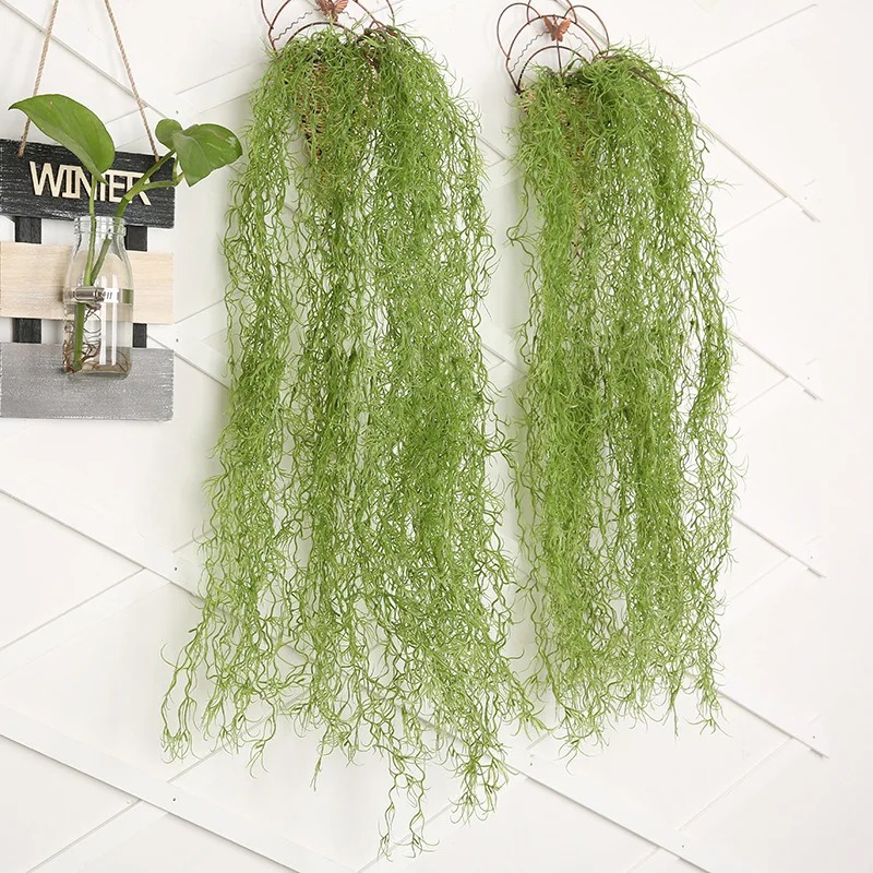 1/3/5pcs Air Grass Green Plant - огляд і ціна Sphagnum Moss Dry