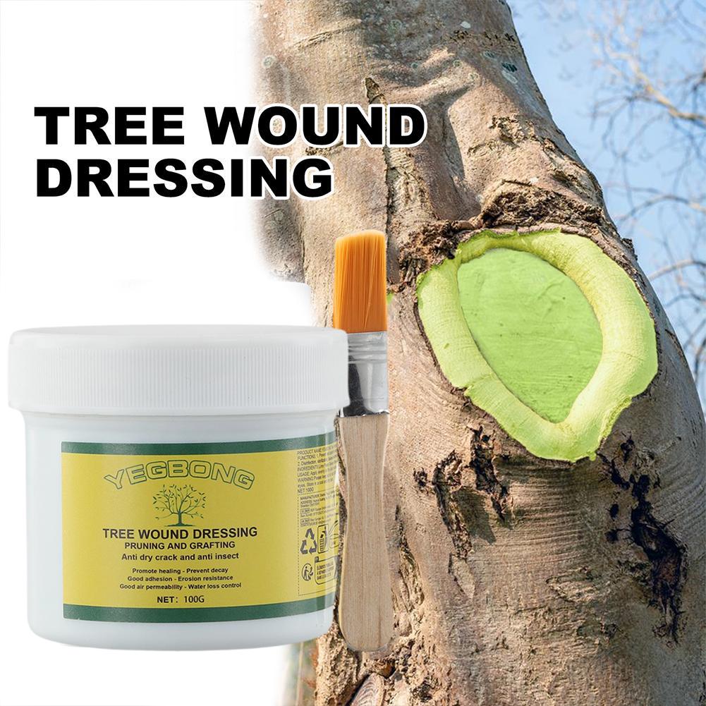 100g Tree Grafting Paste Tree  - огляд і ціна Rooting Hormone Powder
