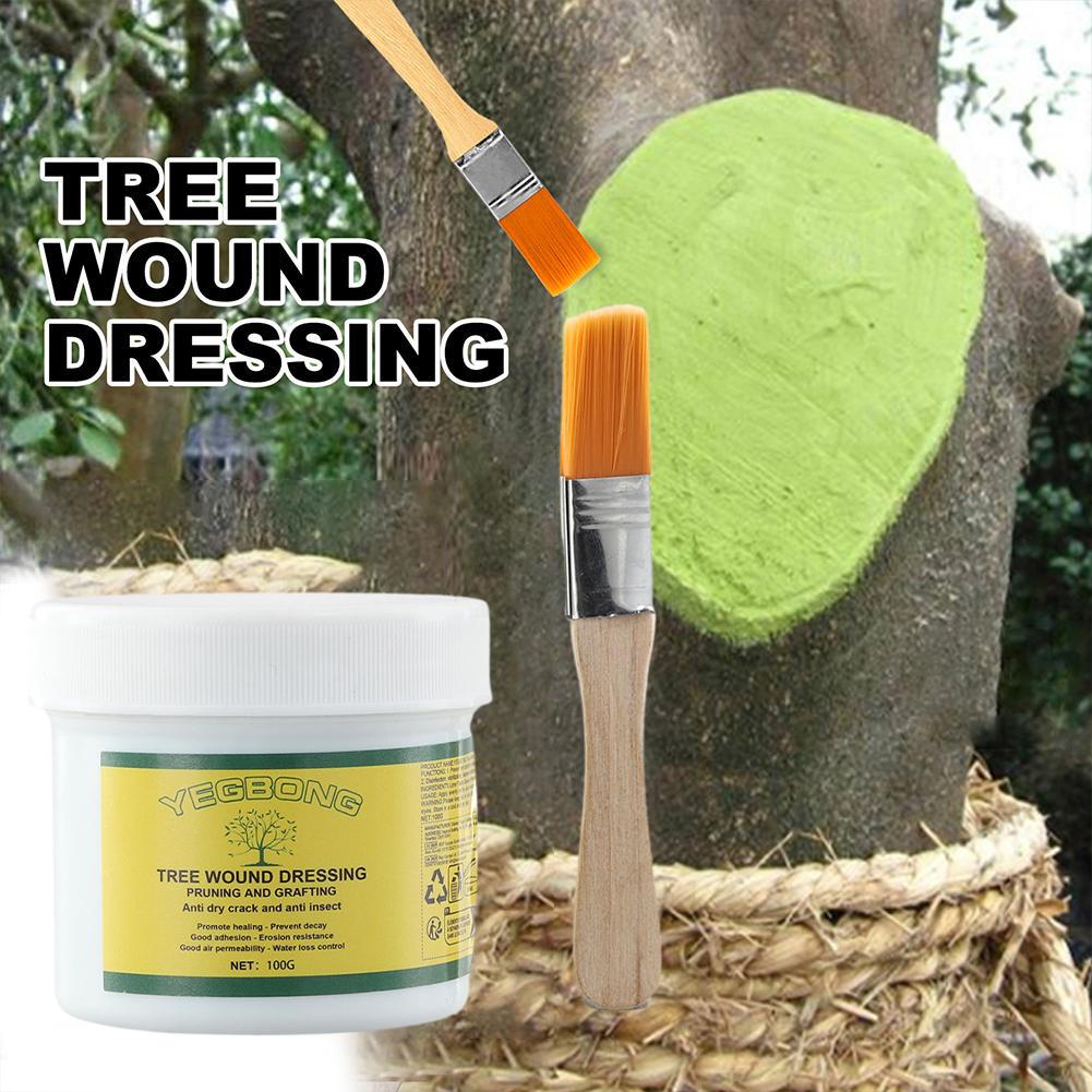 100g Tree Grafting Paste Tree  - огляд і ціна Rooting Hormone Powder