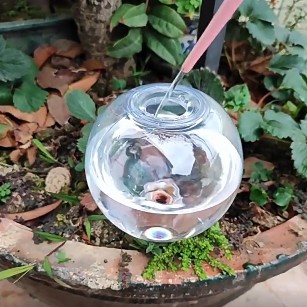 500ML Self Watering Globes Dri - огляд і ціна Self Watering Insert