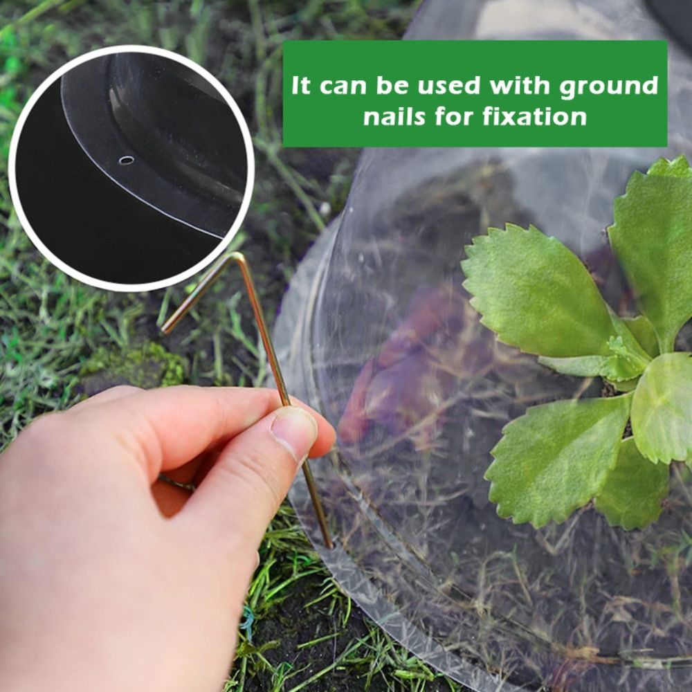 Reusable Clear Plastic Seedlin - огляд і ціна Plastic Dome Clear