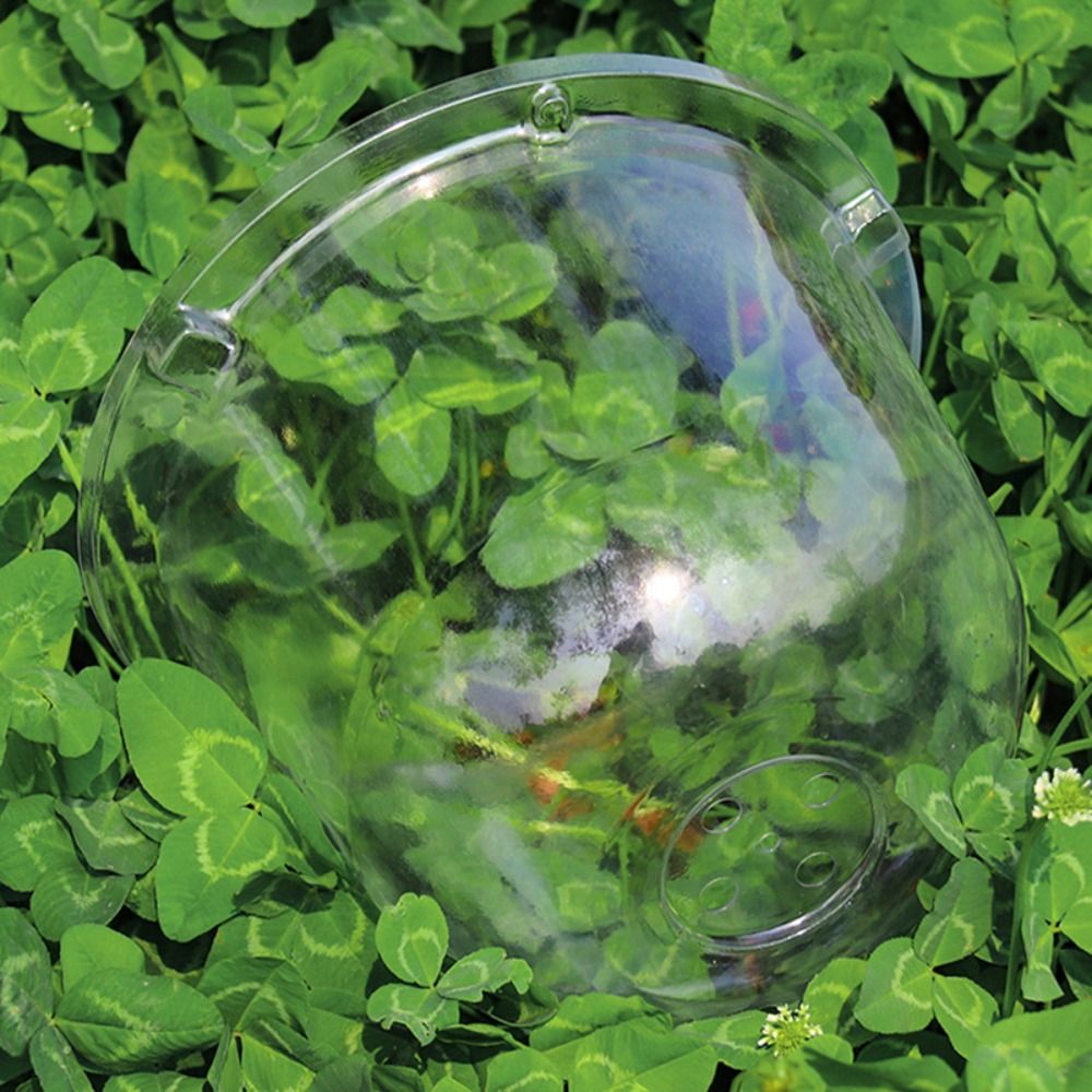 Reusable Clear Plastic Seedlin - огляд і ціна Plastic Dome Clear