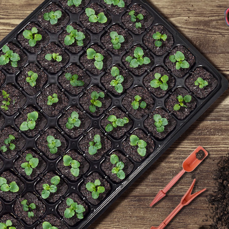 ABGH-10 Pack Seed Starter Tray - огляд і ціна Propagation Tray 72