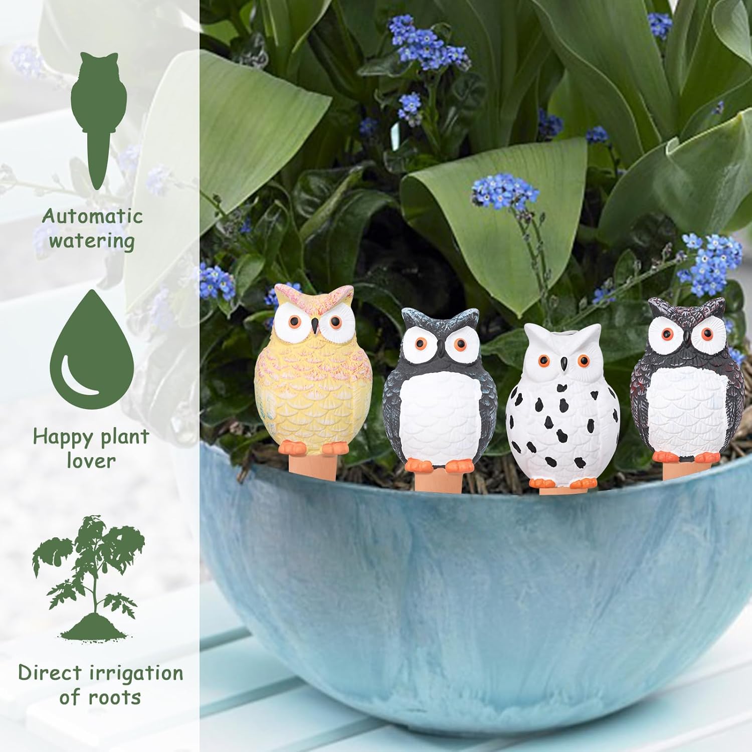 Self Plant Watering Globes Ter - огляд і ціна Self Watering Insert