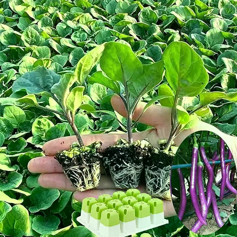 Seed Starter Tray With Humidit - огляд і ціна Humidity Dome Kit