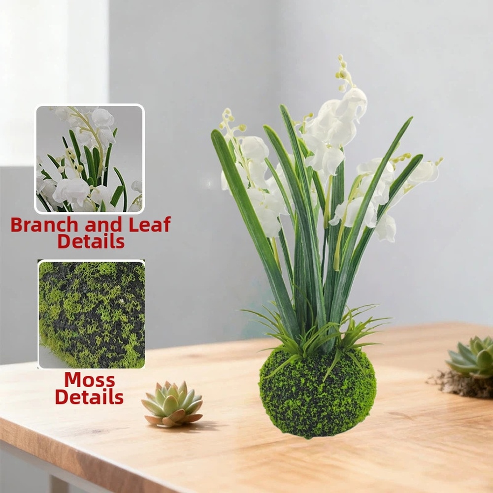 Compact Handcrafted Moss Ball  - огляд і ціна Sphagnum Moss Dry
