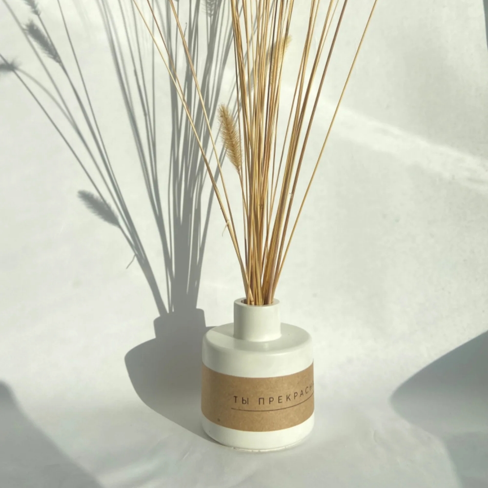 Fragrance Bottle Clay Silicone - огляд і ціна Misting Bottle Fine