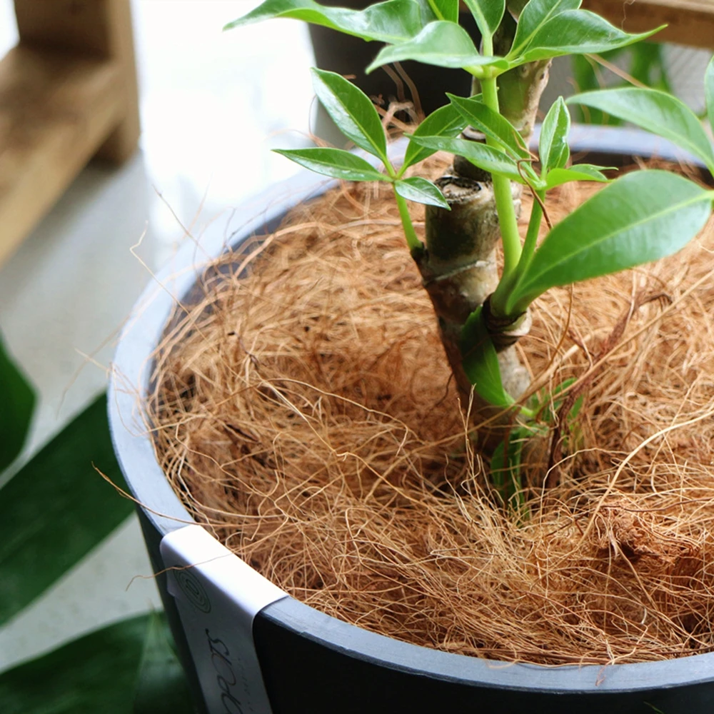 Natural Coconut Husk Fiber Flo - огляд і ціна Sphagnum Moss Dry