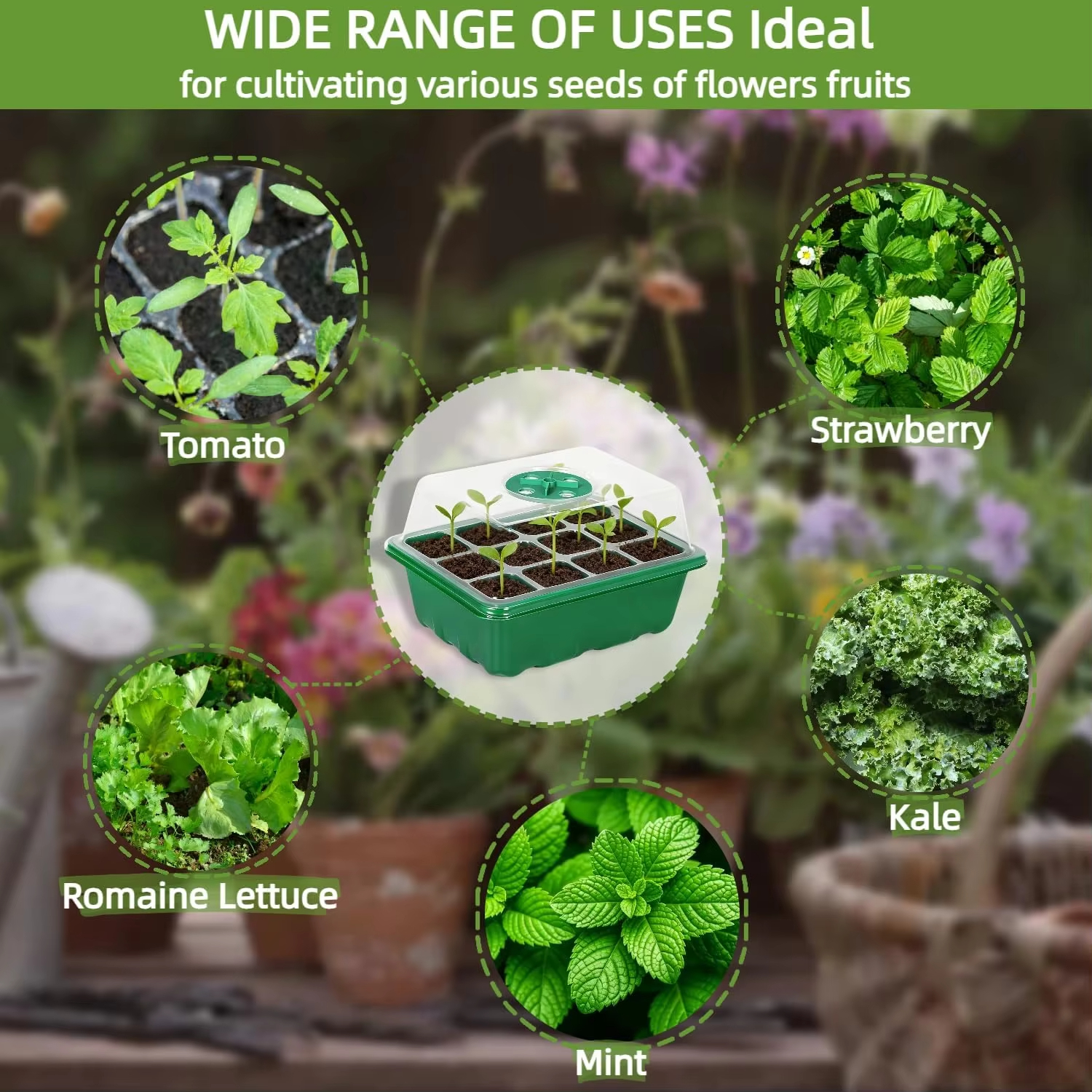3Pcs Seed Starter Tray Mini Gr - огляд і ціна Humidity Dome Kit