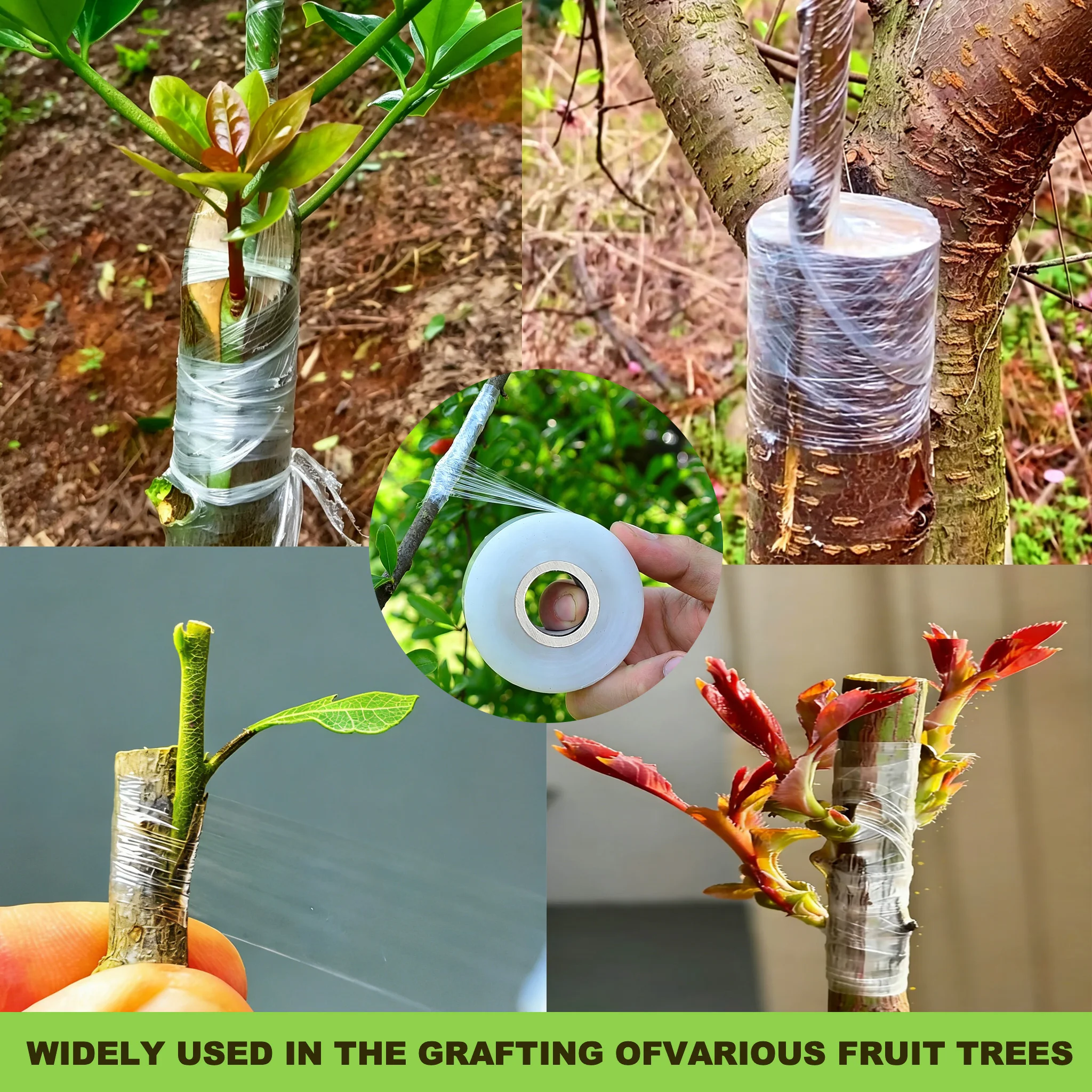 Self-adhesive PE Grafting Tape - огляд і ціна Rooting Hormone Powder