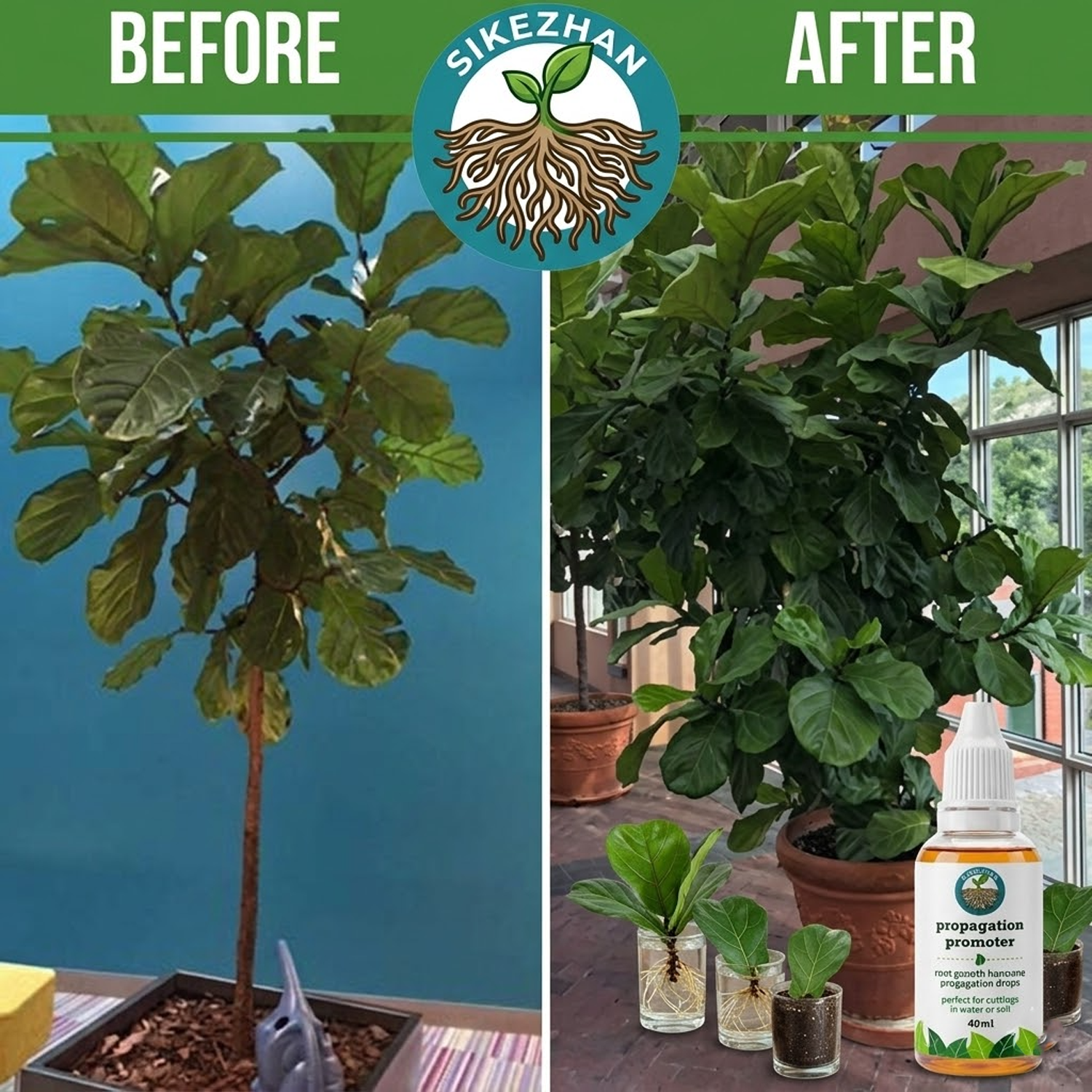 40ml Fast Plant Rooting Liquid - огляд і ціна Root Stimulator Liquid