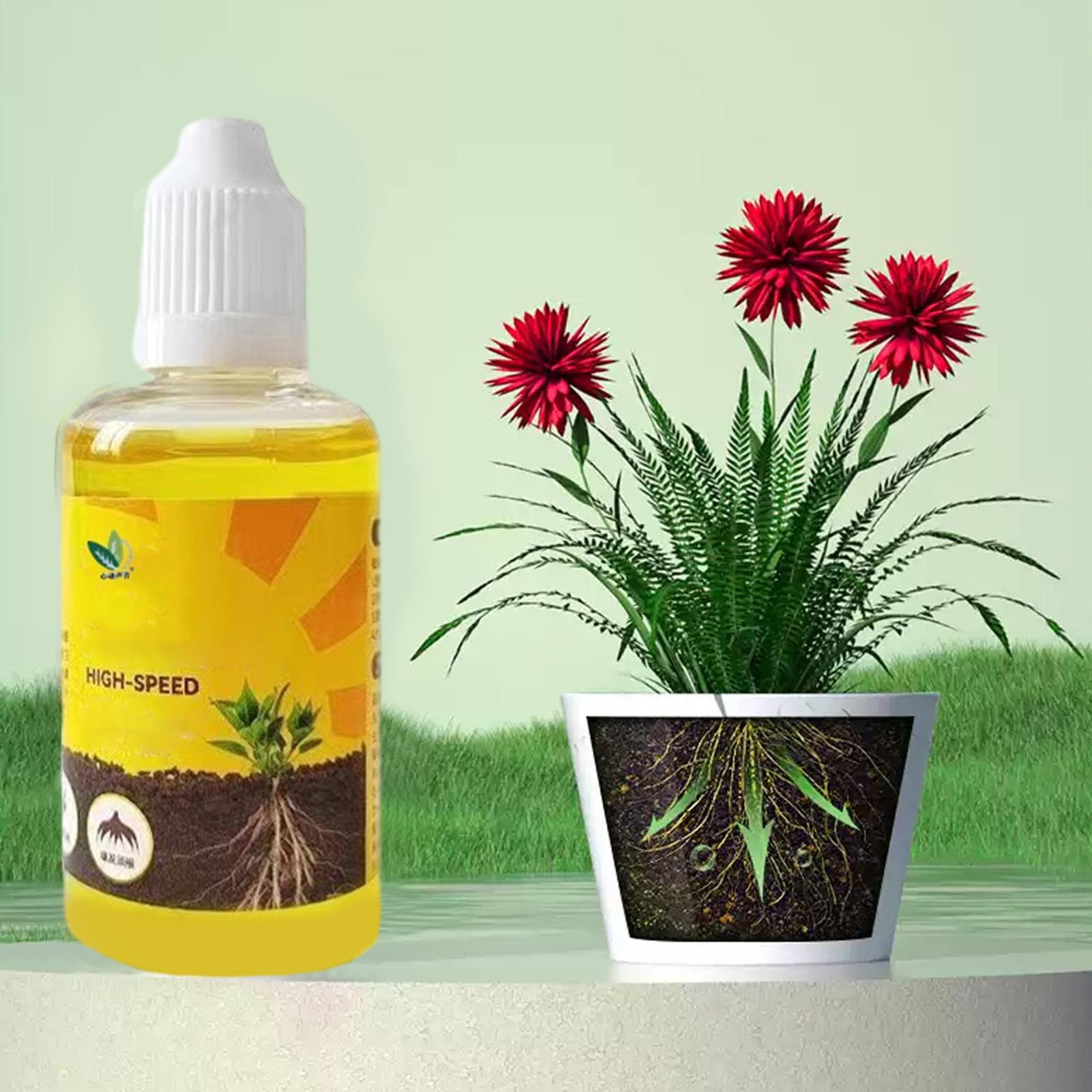 Plant Rapid Rooting Solution 5 - огляд і ціна Root Stimulator Liquid
