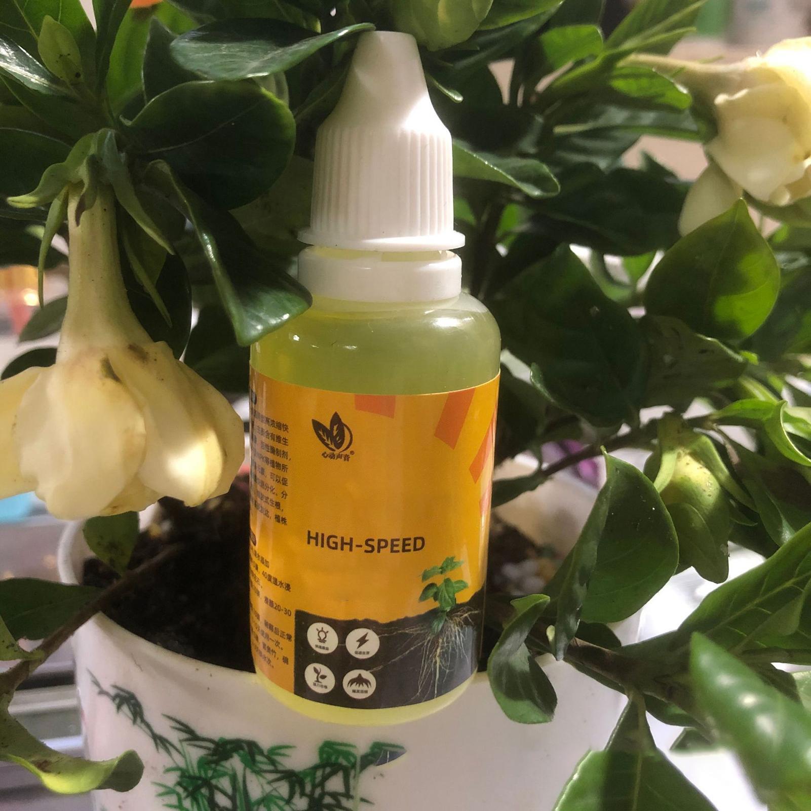 Plant Rapid Rooting Solution 5 - огляд і ціна Root Stimulator Liquid