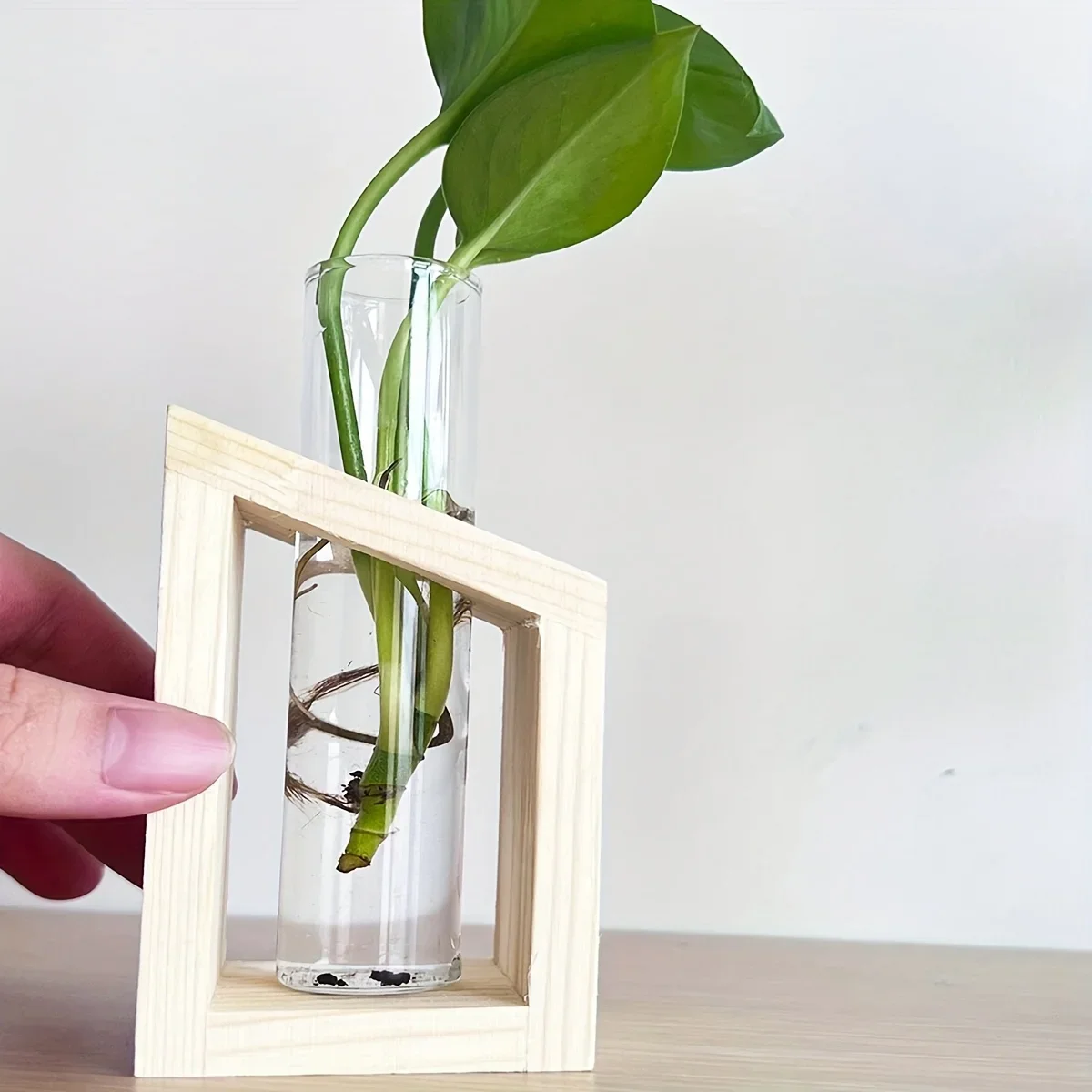 Test Tube Glass Vase Plant Pro - огляд і ціна Propagation Station Vase