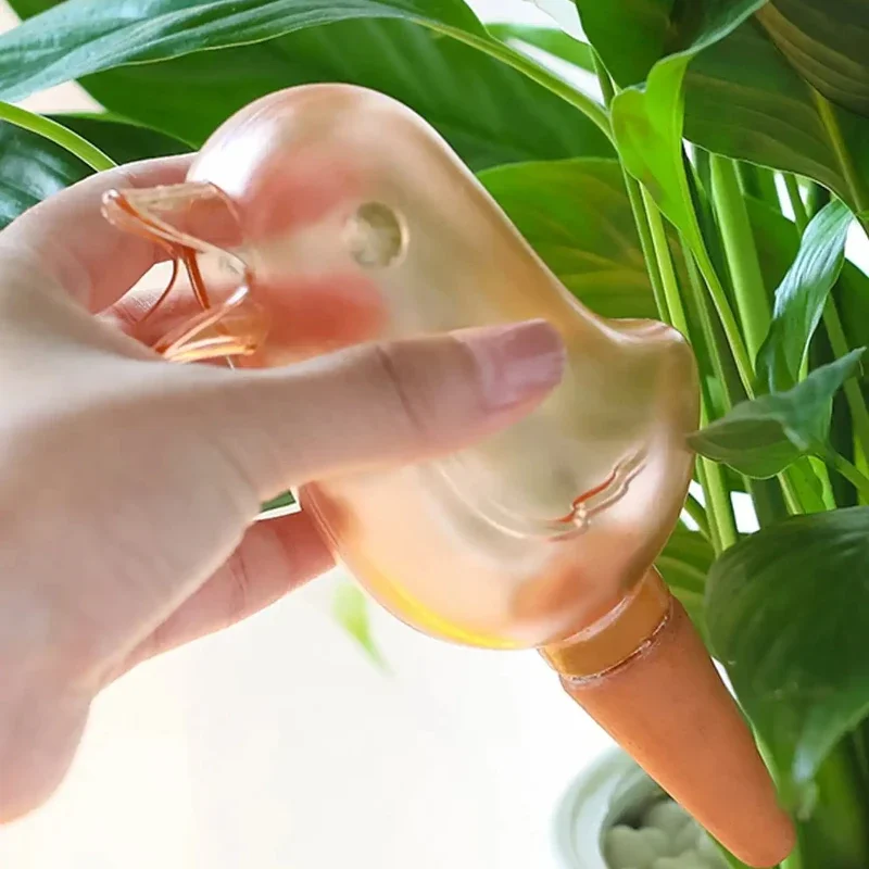 High quality automatic flower  - огляд і ціна Self Watering Insert