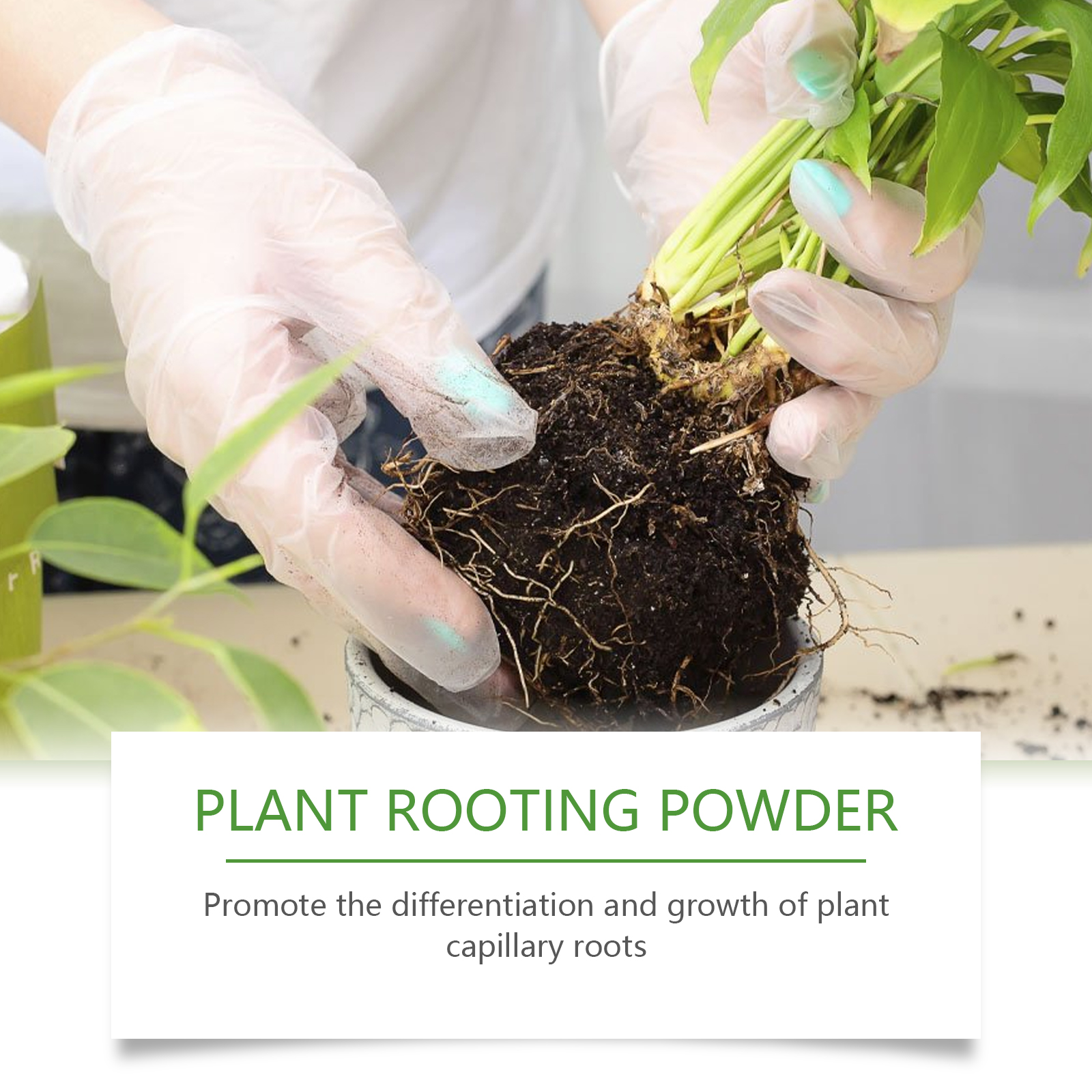 100g Plant Rooting Powder for  - огляд і ціна Rooting Hormone Powder