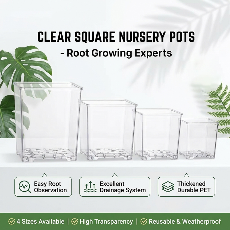 Clear Square Acrylic Plastic P - огляд і ціна Sphagnum Moss Dry