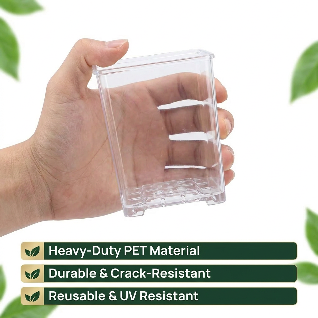 Clear Square Acrylic Plastic P - огляд і ціна Sphagnum Moss Dry