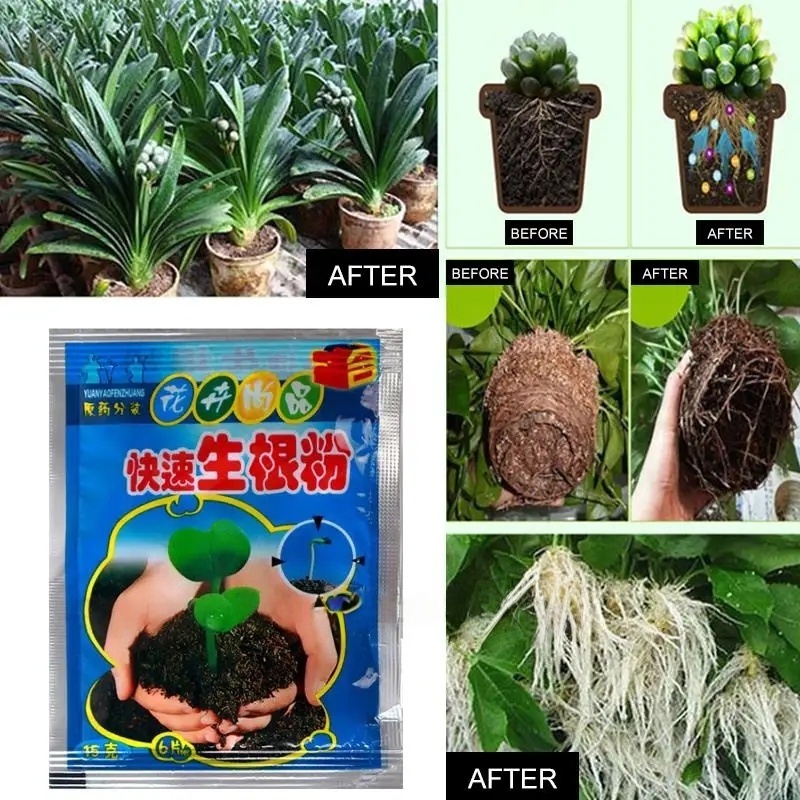 5pcs Fast Rooting Powder Plant - огляд і ціна Rooting Hormone Powder