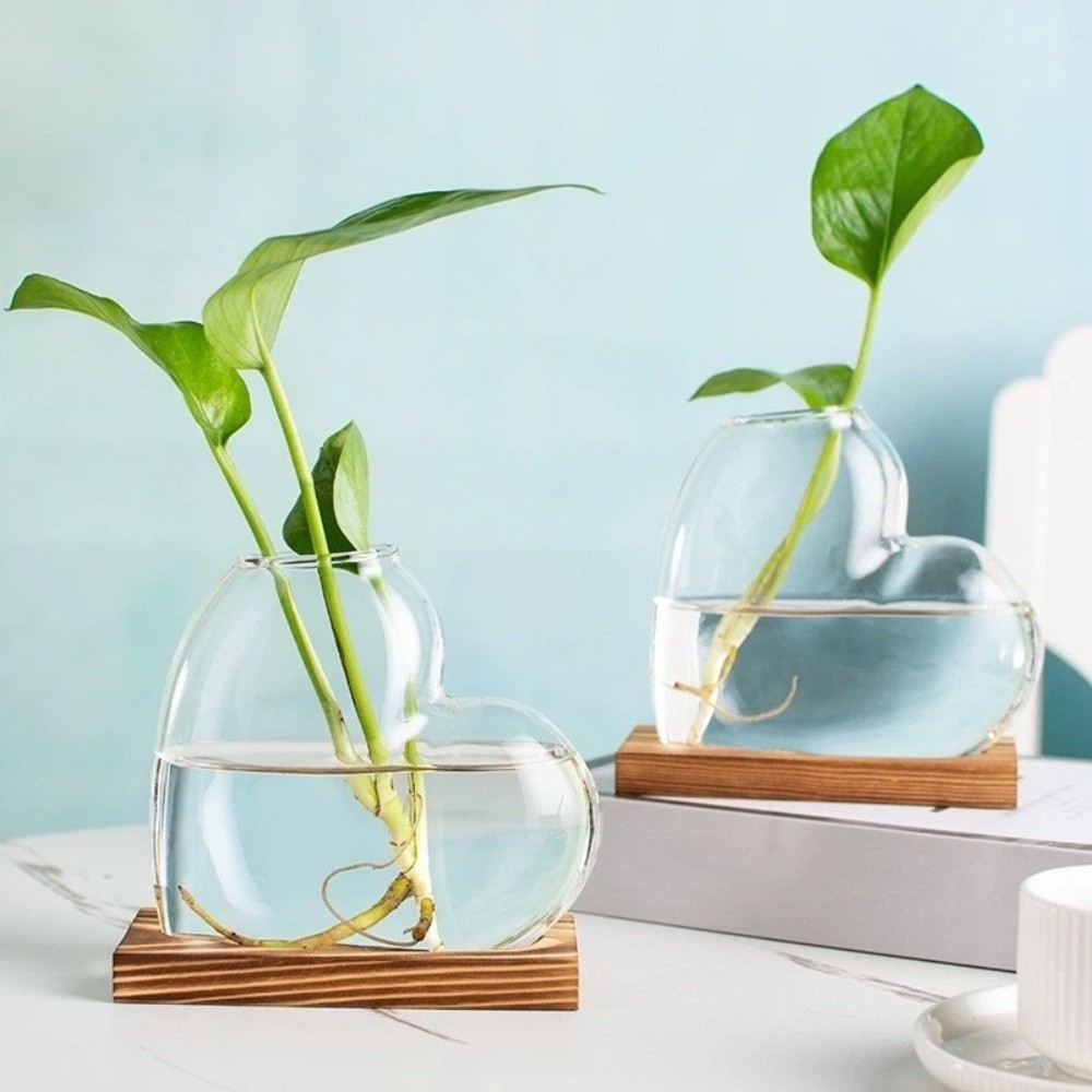 Transparent Hydroponic Glass V - огляд і ціна Propagation Station Vase