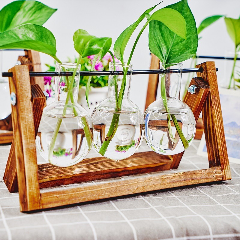 Tabletop Glass Planter Propaga - огляд і ціна Propagation Station Vase