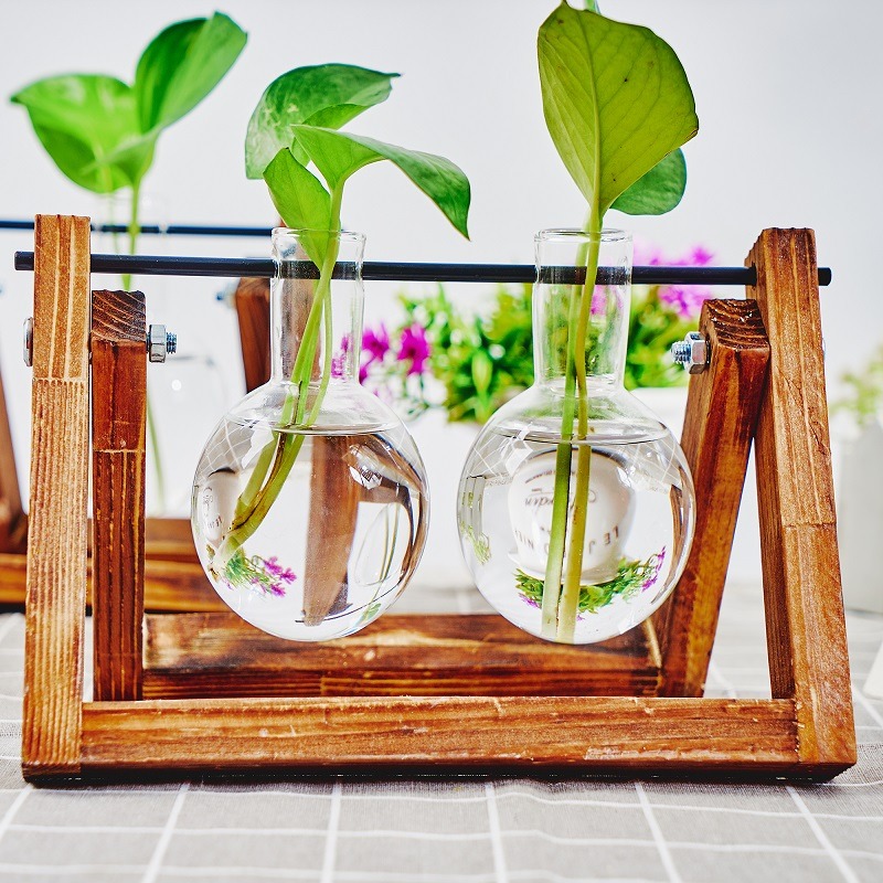Tabletop Glass Planter Propaga - огляд і ціна Propagation Station Vase
