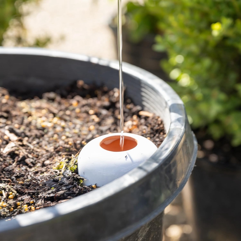 Plant Watering Ball, Terracott - огляд і ціна Self Watering Insert